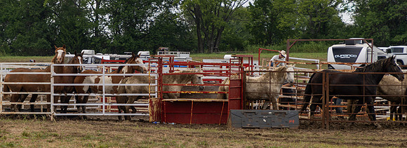 Wyandotte County Fairgrounds -31
