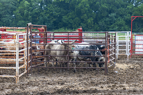 Wyandotte County Fairgrounds -45