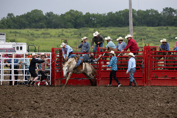 Wyandotte County Fairgrounds -184