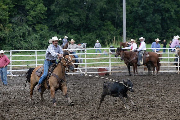 Wyandotte County Fairgrounds -209