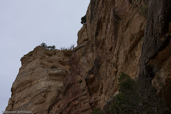 Grand-132