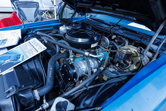 Car Show 2026-74