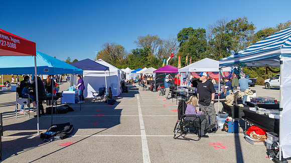 Fest-55