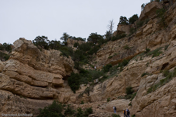 Grand-131