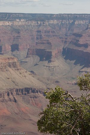 Grand-395