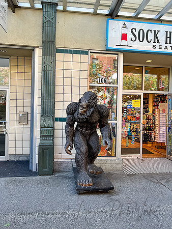 SeattleD-20