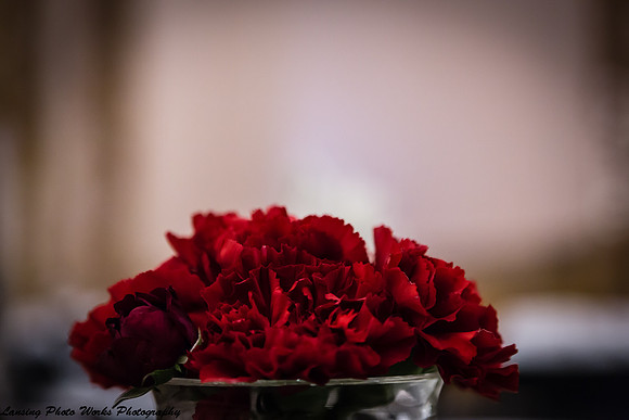 doll (108 of 592)