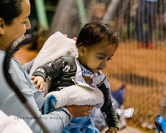 Baseball-157