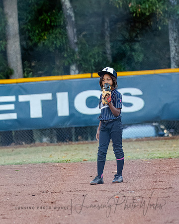 Baseball-209