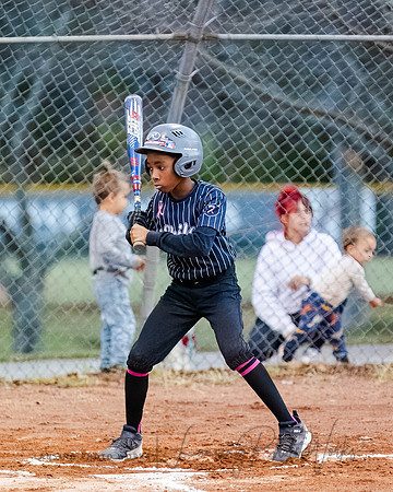 Baseball-220