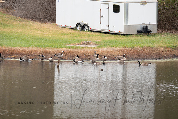 fall2023-23