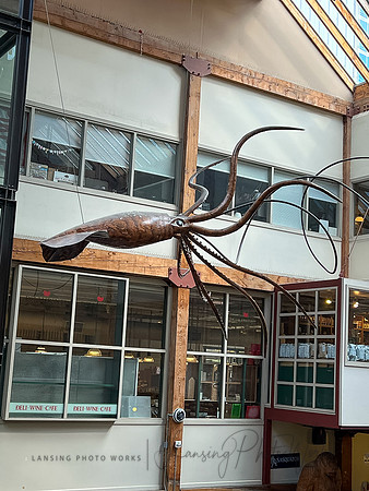 SeattleD-39