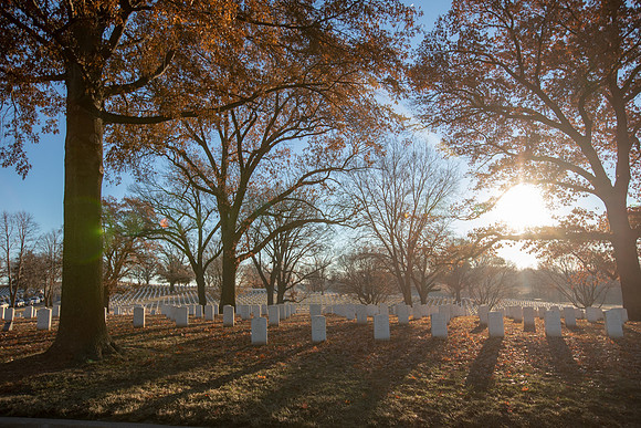 Wreaths 2018-28