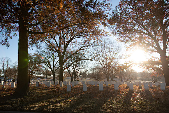 Wreaths 2018-29