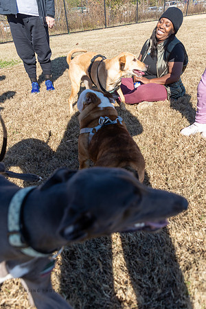DogPark2023-6