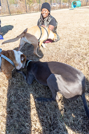 DogPark2023-5