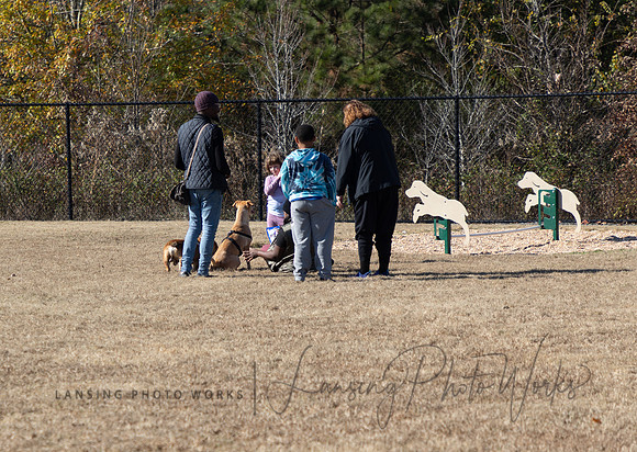DogPark2023-3