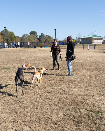 DogPark2023-11