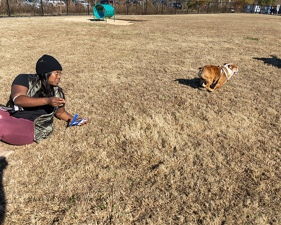 DogPark2023-10