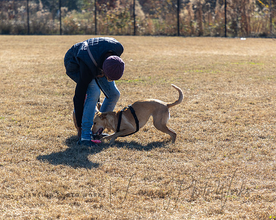 DogPark2023-21