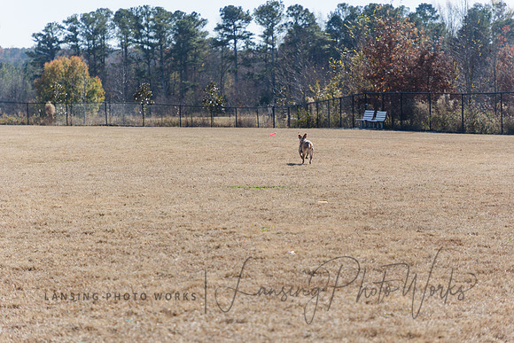 DogPark2023-24