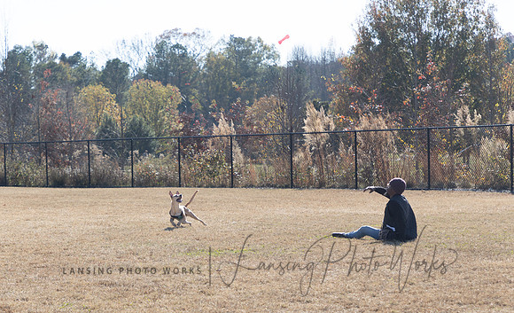 DogPark2023-37