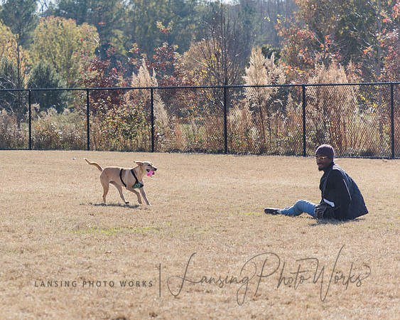 DogPark2023-36