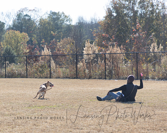 DogPark2023-39