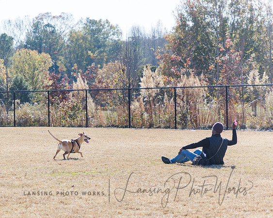 DogPark2023-40