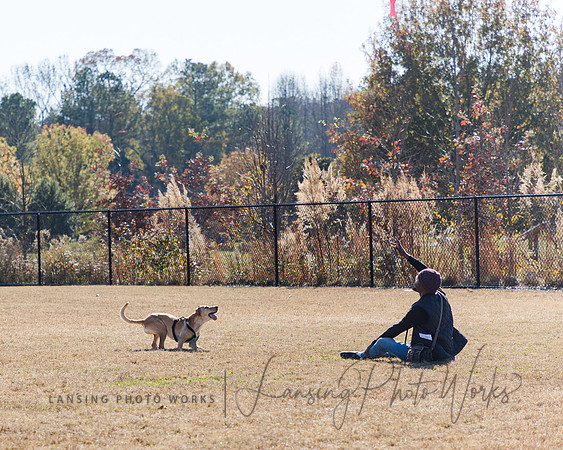 DogPark2023-41