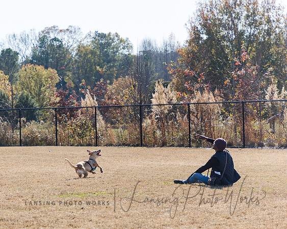 DogPark2023-42