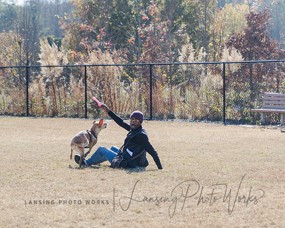 DogPark2023-43