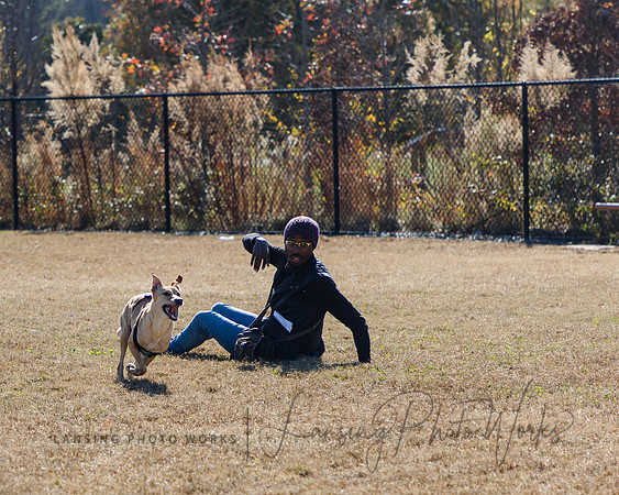 DogPark2023-45