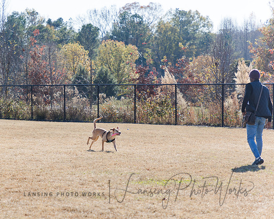 DogPark2023-58