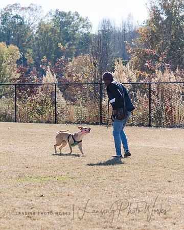 DogPark2023-59