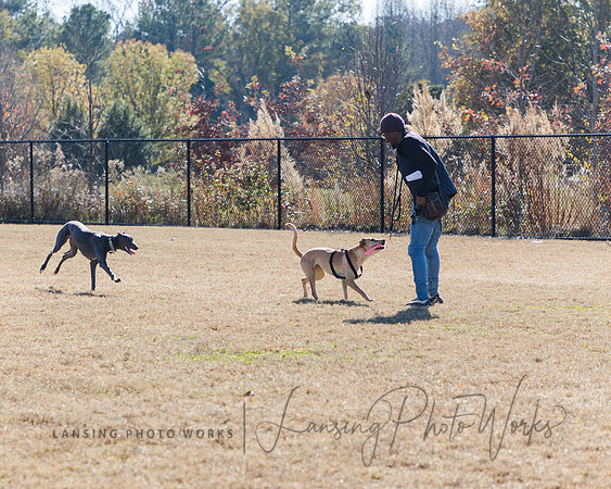 DogPark2023-60