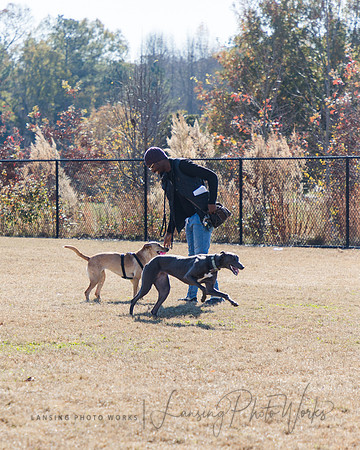 DogPark2023-61