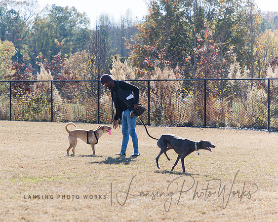 DogPark2023-62