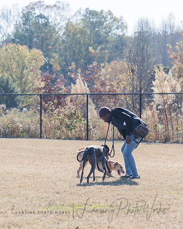 DogPark2023-63