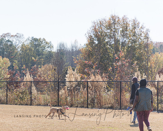 DogPark2023-67