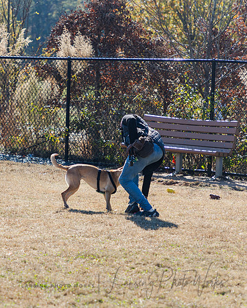 DogPark2023-75