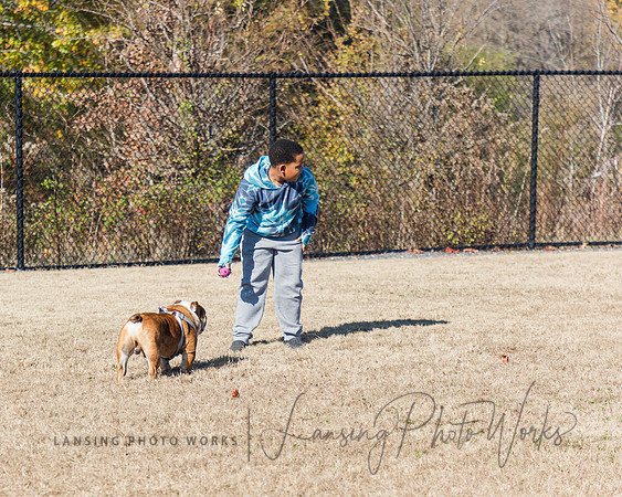 DogPark2023-83