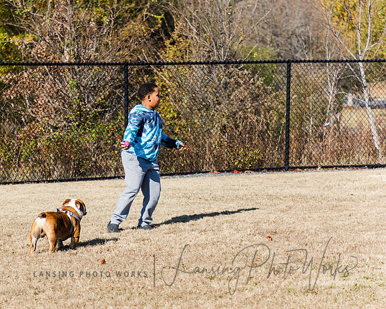 DogPark2023-86