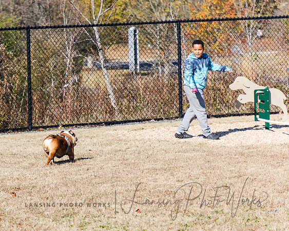 DogPark2023-88