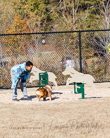DogPark2023-89