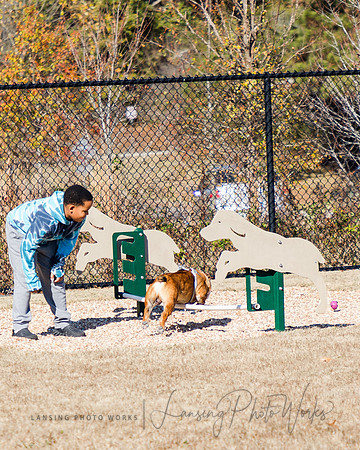 DogPark2023-91