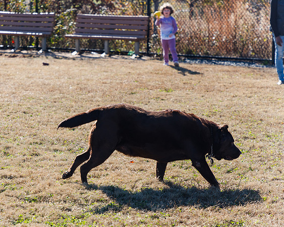 DogPark2023-94