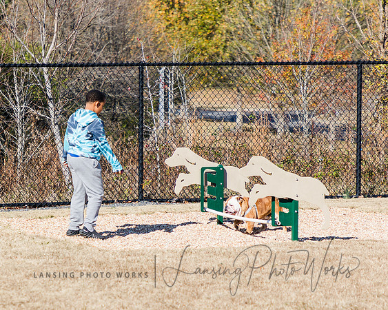 DogPark2023-102
