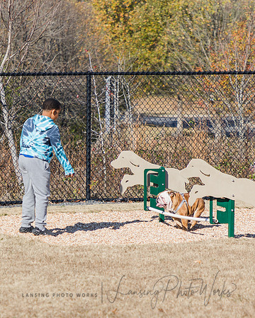 DogPark2023-103