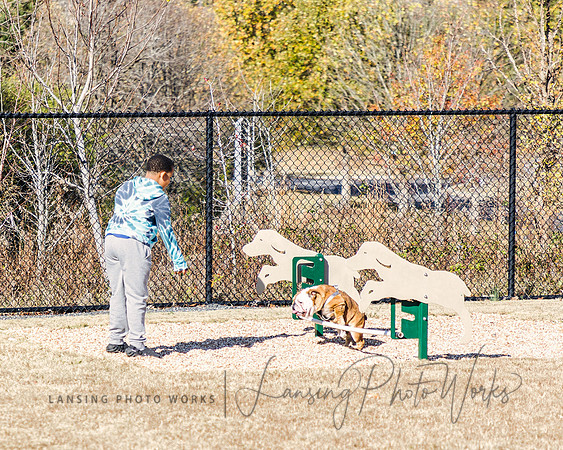 DogPark2023-104